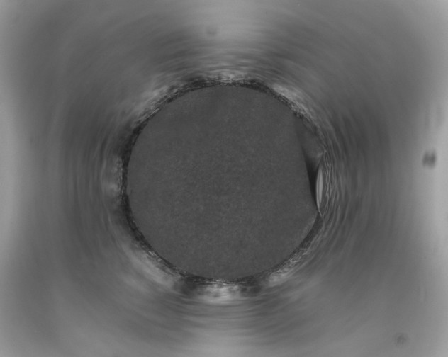 X0000091650760200709060959