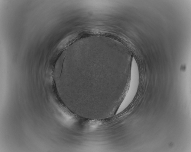 X0000091650762200709060959