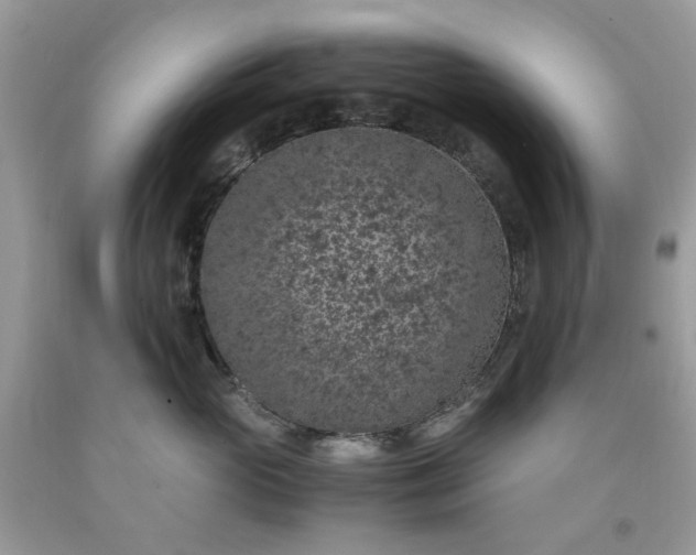 X0000091650765200709060959