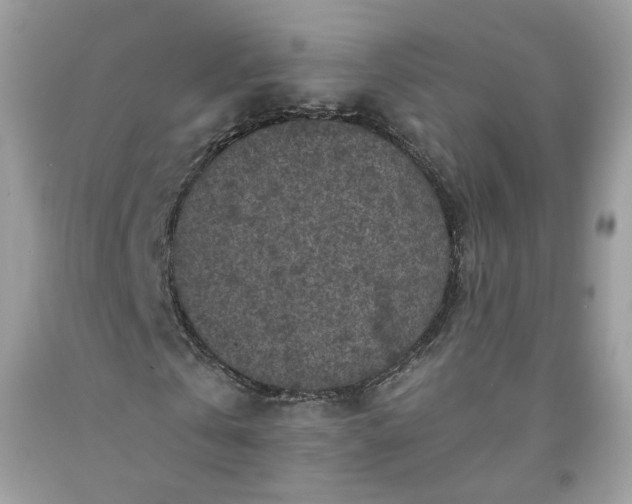 X0000091650769200709060958