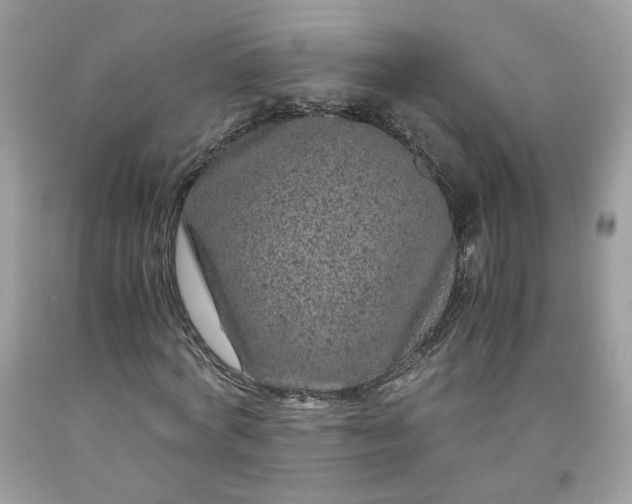 X0000091650772200709060958