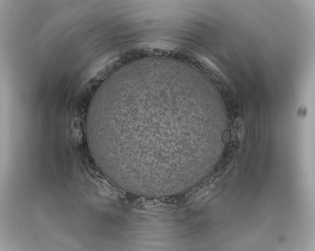 X0000091650774200709060958