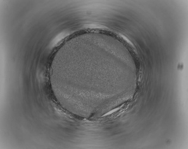 X0000091650775200709060958