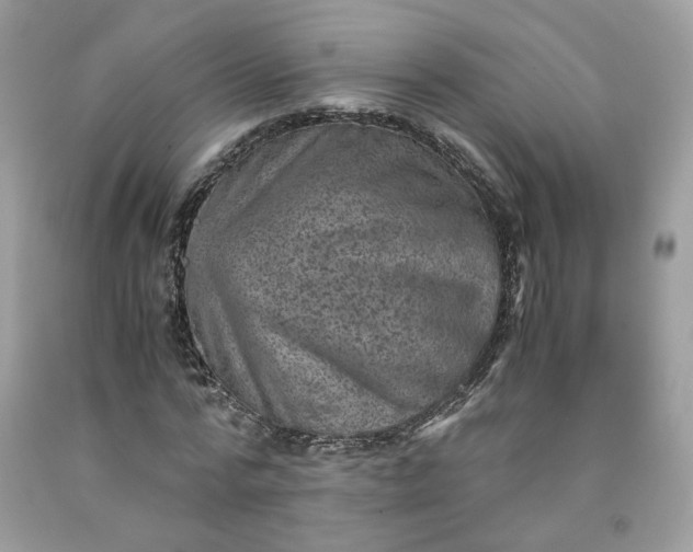 X0000091650776200709060958