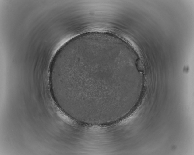 X0000091650779200709060958