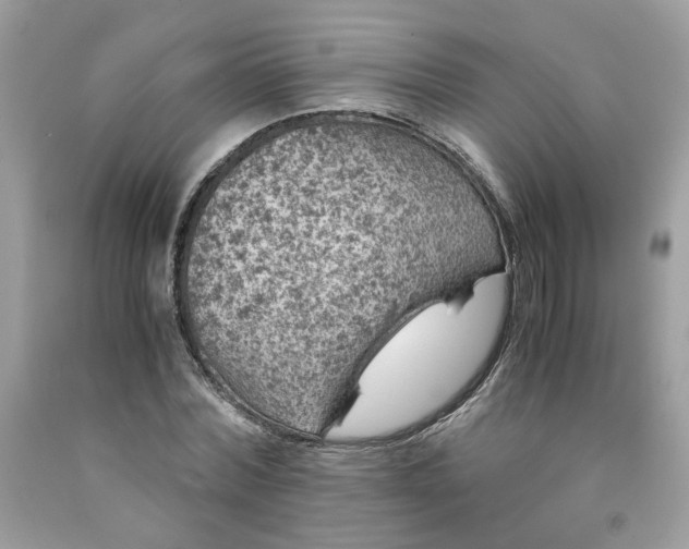 X0000091650780200709060958