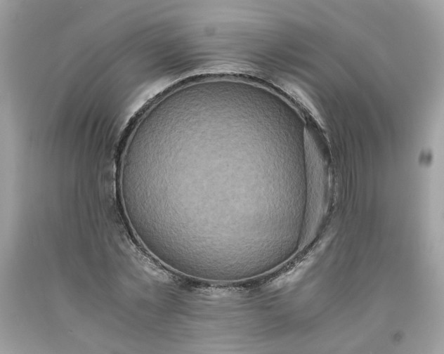 X0000091650781200709060958