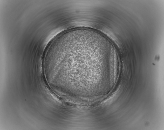 X0000091650782200709060958