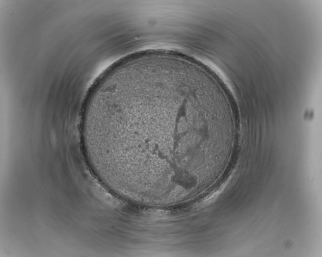 X0000091650783200709060958