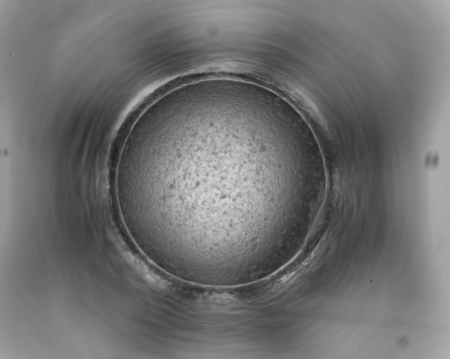 X0000091650784200709060958