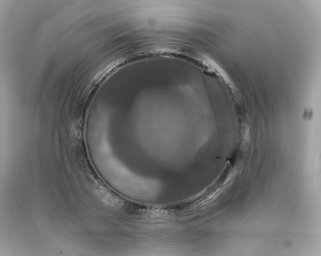 X0000091650785200709060958