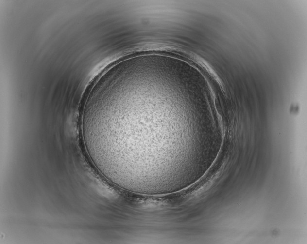 X0000091650786200709060958