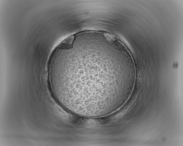 X0000091650787200709060958