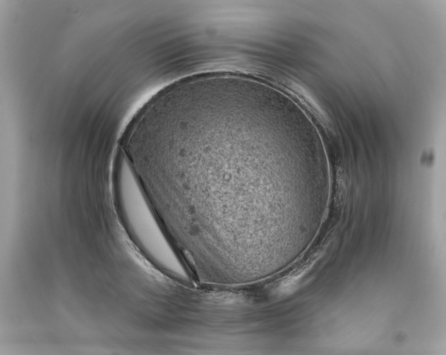 X0000091650788200709060958