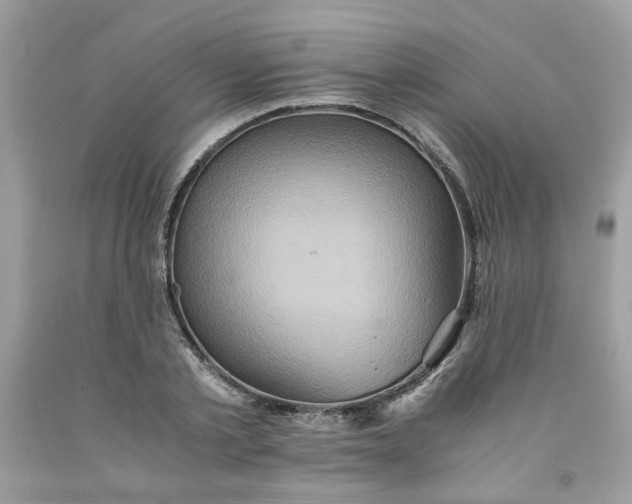 X0000091650789200709060958