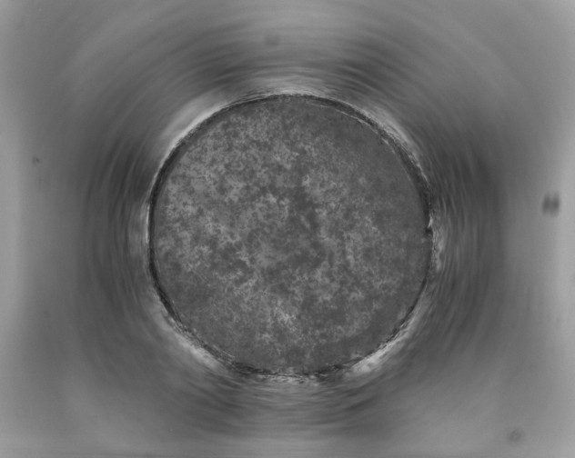 X0000091650790200709060958