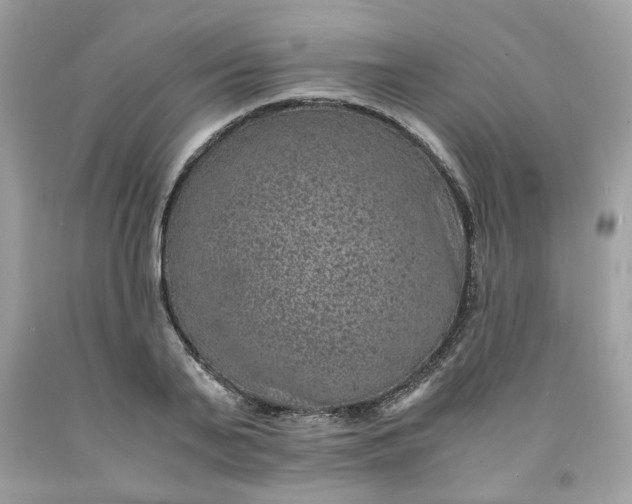 X0000091650791200709060958