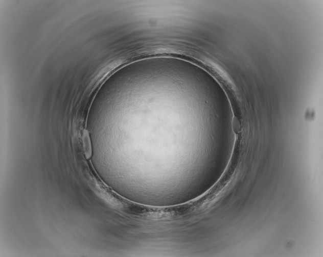 X0000091650793200709060958