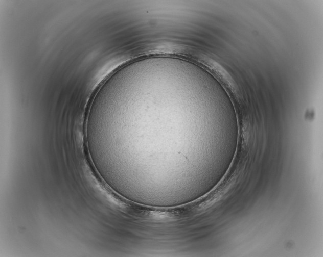 X0000091650794200709060958