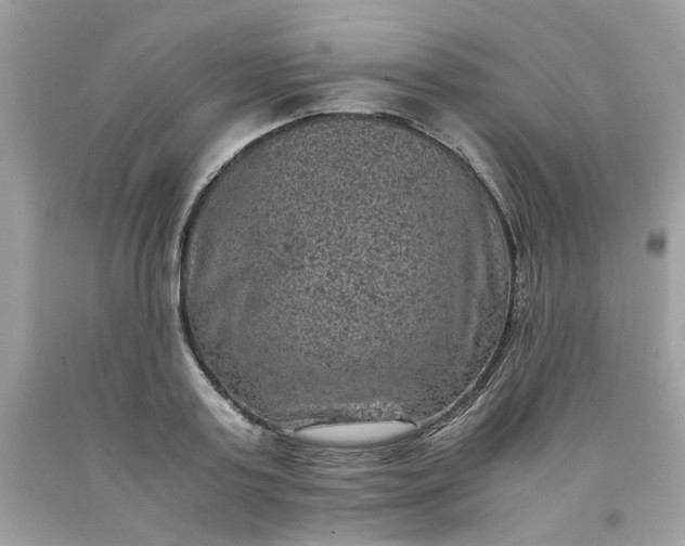 X0000091650795200709060958