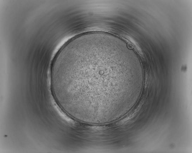 X0000091650796200709060958