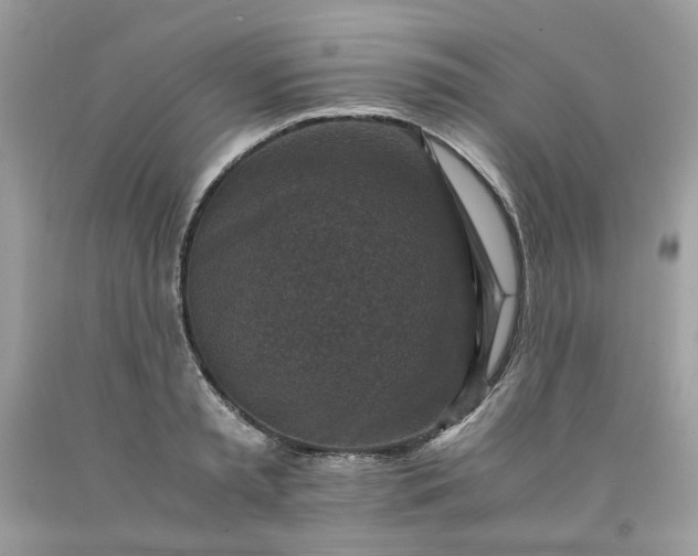 X0000091650797200709060958