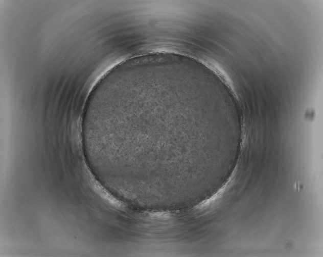 X0000091650798200709060958