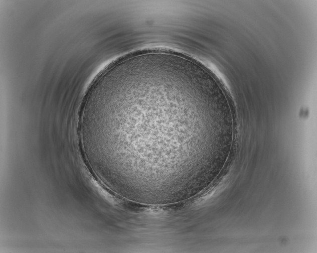 X0000091650799200709060958