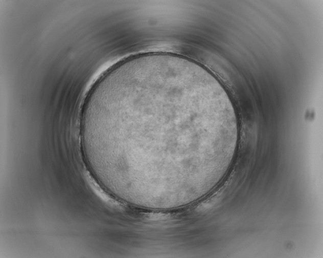 X0000091650800200709060957