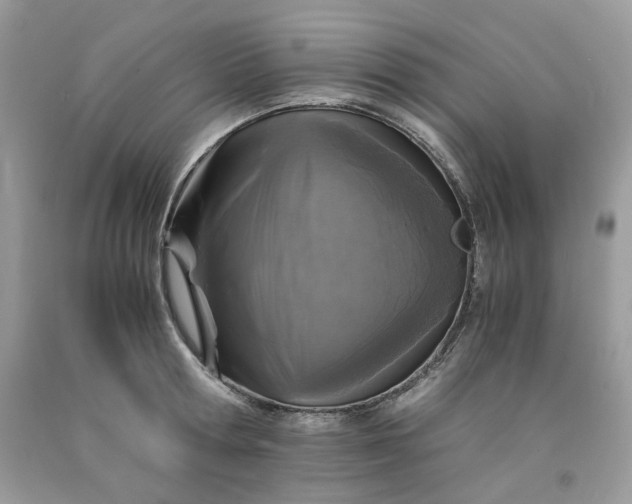 X0000091650802200709060957