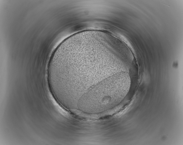 X0000091650803200709060957