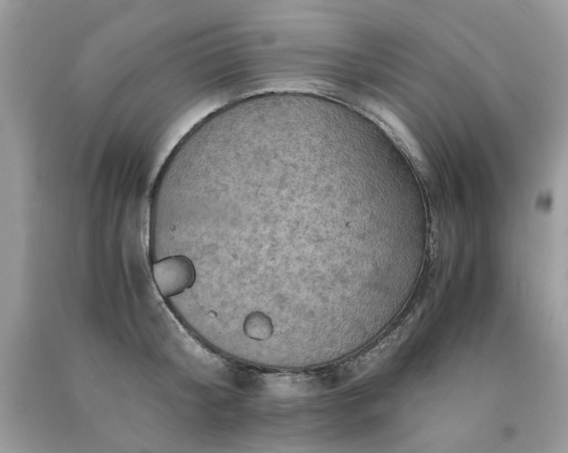 X0000091650804200709060957