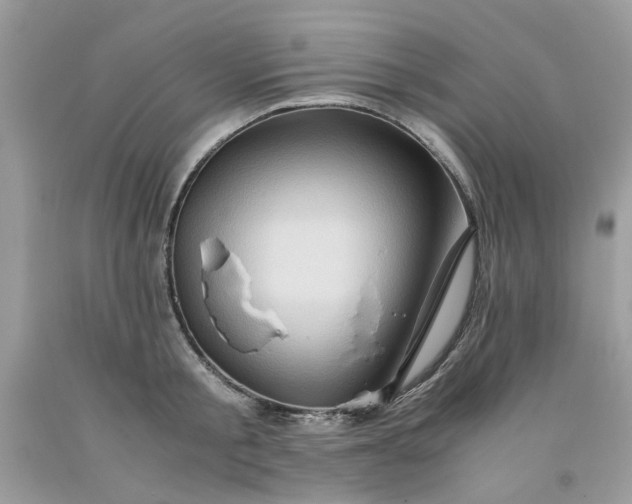 X0000091650805200709060957