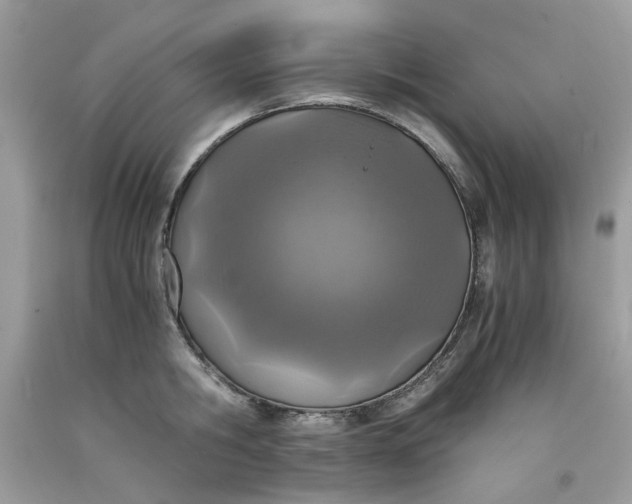 X0000091650806200709060957