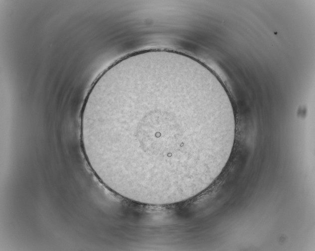 X0000091650807200709060957