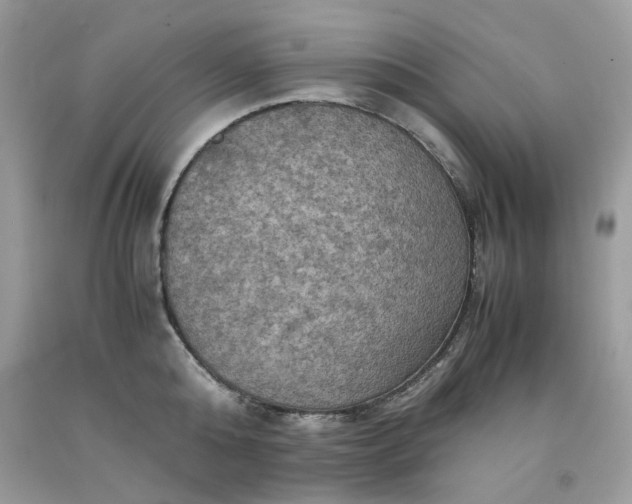 X0000091650808200709060957