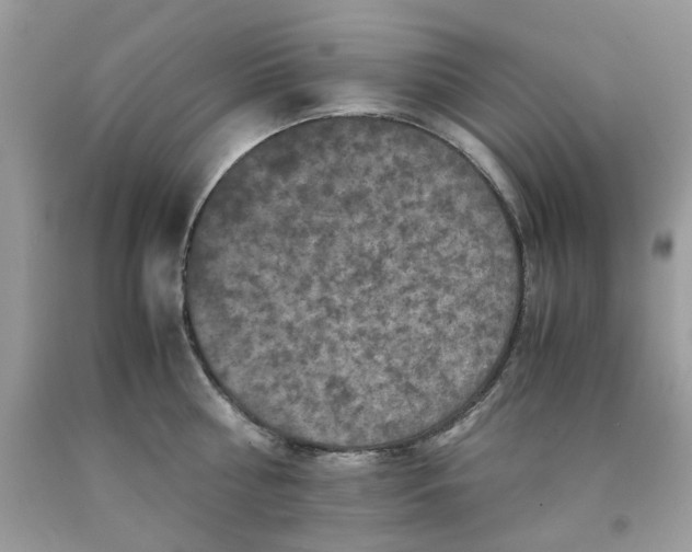 X0000091650810200709060957