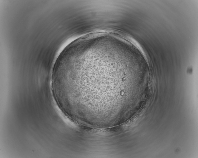 X0000091650811200709060957