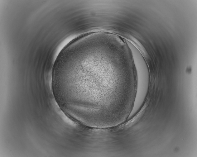 X0000091650812200709060957