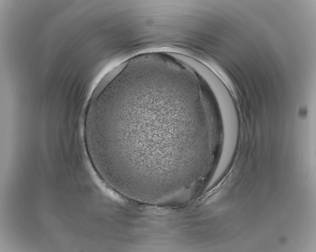 X0000091650813200709060957