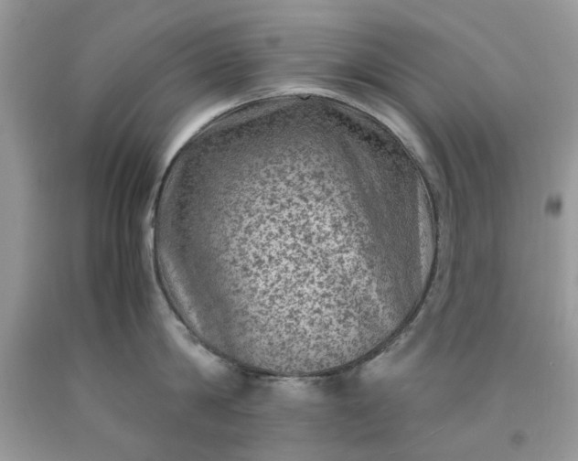 X0000091650814200709060957