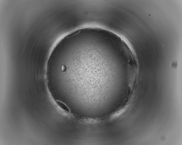 X0000091650815200709060957