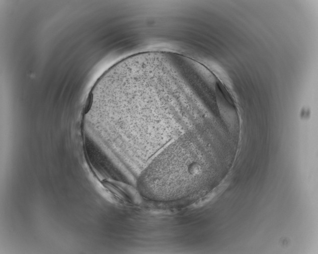 X0000091650816200709060957