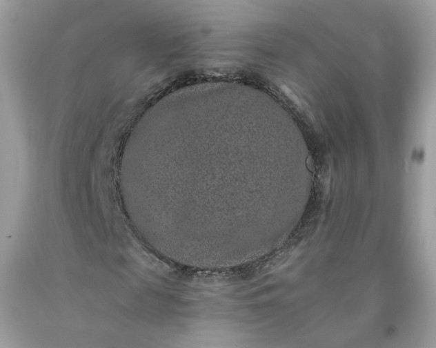 X0000091650817200709060957