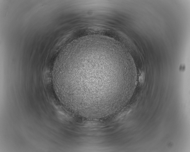 X0000091650819200709060957