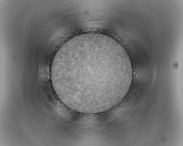 X0000091650820200709060957