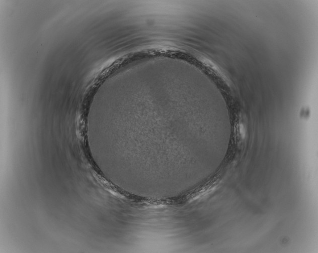 X0000091650822200709060957