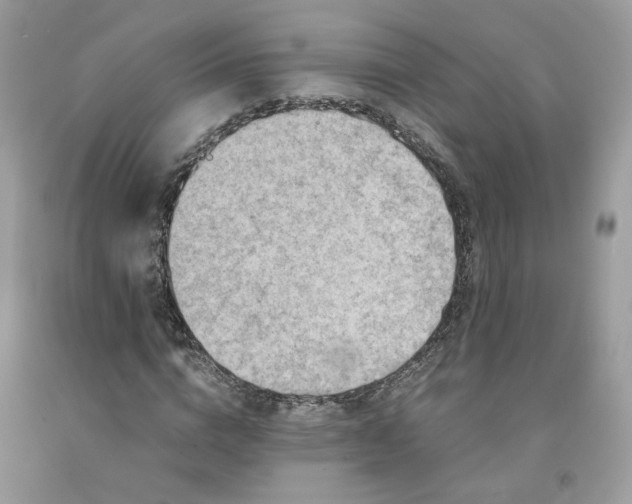 X0000091650824200709060957