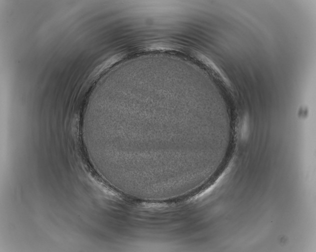 X0000091650825200709060957