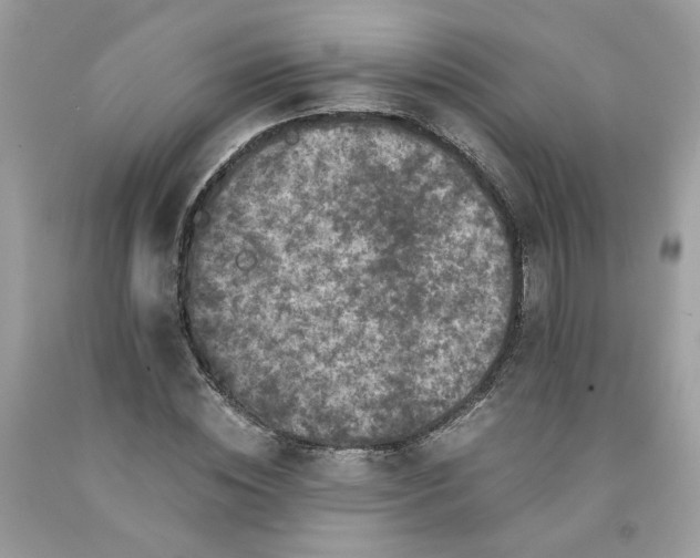 X0000091650828200709060957